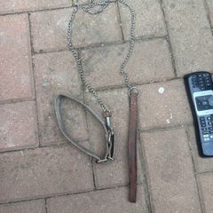 dog lead