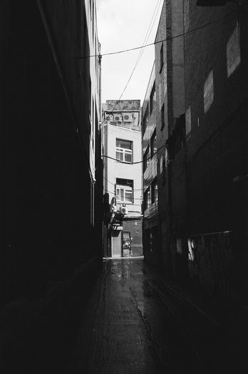 Canon 7