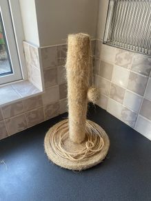 FREE Cat scratching post