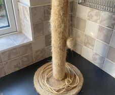 FREE Cat scratching post
