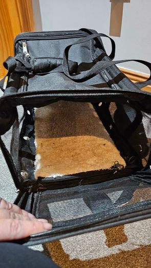 Pet carrier