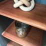 Glass display cabinet / sideboard Image 10