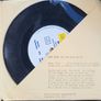 Arnold Gutbucket and Humphrey Camelfoot Mary Rose 7 inch Vinyl Bucket Records BUCK 005 Image 3