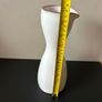 Paul Costelloe Water Jug Image 6