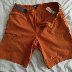 Patagonia shorts