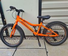 Childs Bike 20 Inch