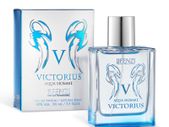 Invictus Aqua Alternative - Eau De Parfum 100ml - Jfenzi Victorius Aqua Homme Men