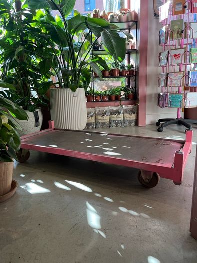Platform trolley with wheels Truck Dolly