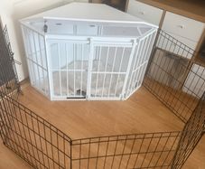 Puppy Play pen