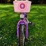 child bicycle Image 4