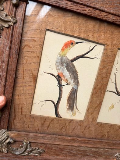 19th Century Oak Framed Feather Art