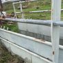 Livestock weighing scales Image 3