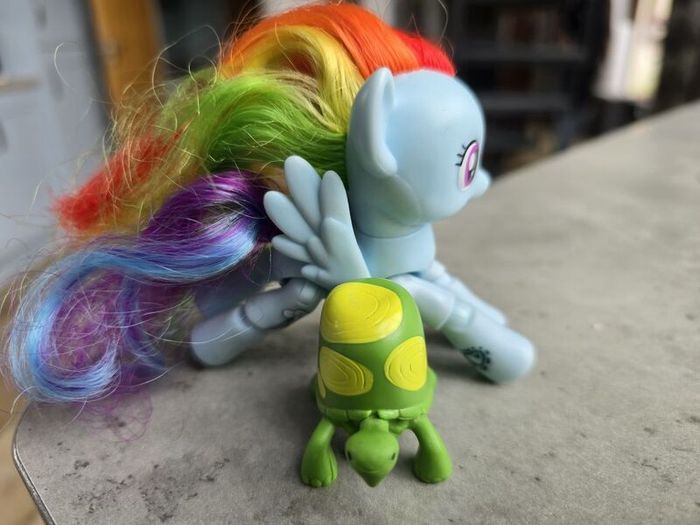 Articulated Joints Rainbow Dash with Pet Turtle Tortoise MLP G4 My Little Pony
