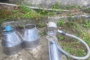 Vintage Stainless Steel Milking Pails / Dairy Buckets &amp; Cooler