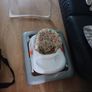 Baby Walker swing and Moses basket Image 2