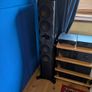 Loudspeakers Perlisten R7T Floorstanders Image 2