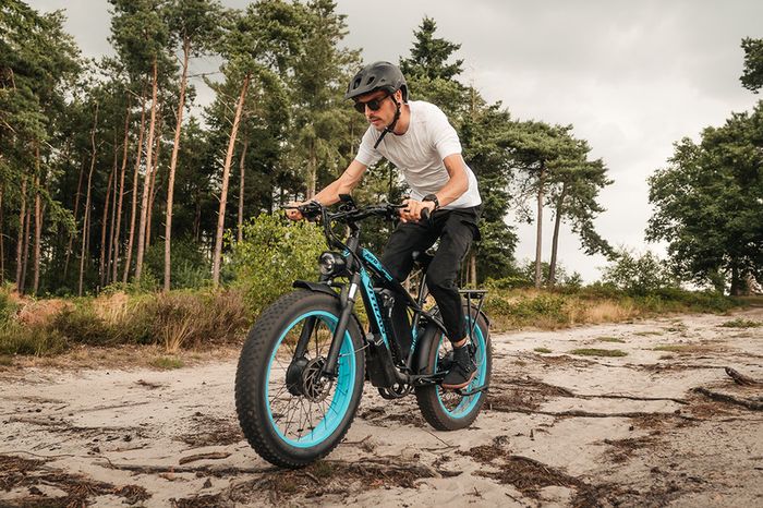 VITILAN H5 Dual Motor Fat Tire Electric Bike