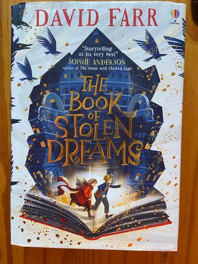 Usborne - The book of Stolen Dreams