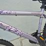 Ladies Bicycle Image 2