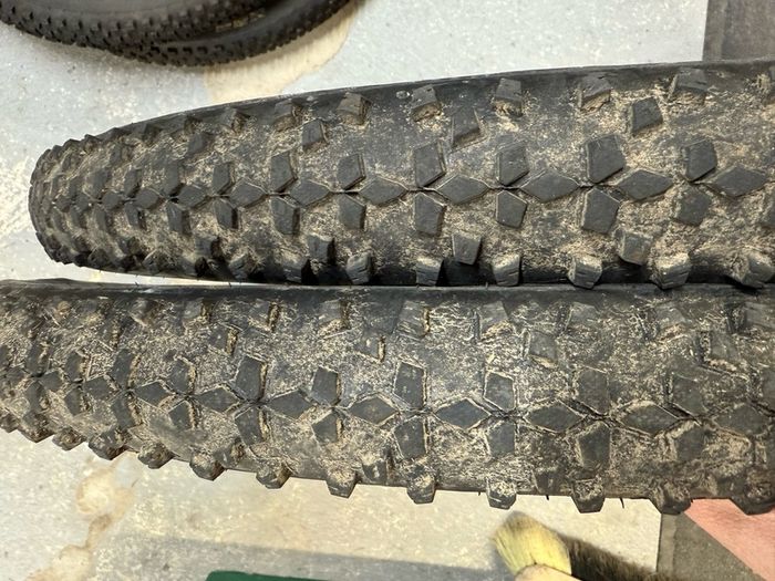 Schwalbe