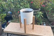 pot
