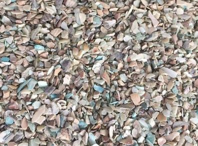1kg Crushed Oyster Shells - Decorative Pot Topper