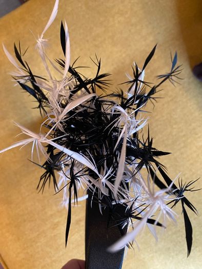 fascinator black and white on band