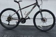 Carerra Vengance Disc Brakes