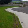 Laurel Hedging Image 9