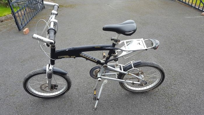 Gazelle Scooter Bike Pro