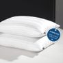 Downluxe Goose Down Pillows -  Queen Size (20"x28") x1 Image 2