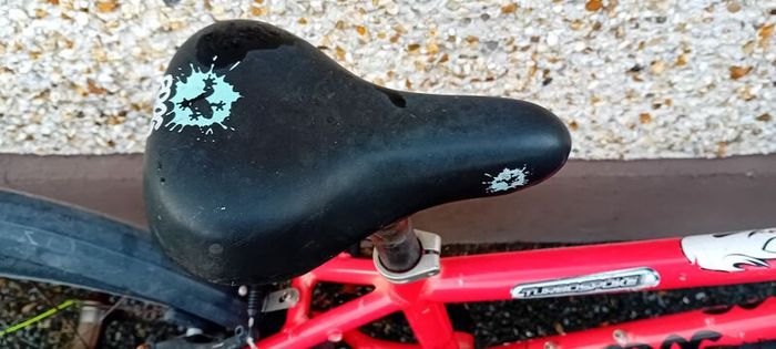Kids Frog Bike/repair