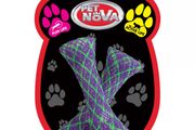 Pet Nova Cat Spring Toy 8cm