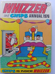 Wizard And Chips