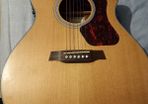 Walden G570CE guitar