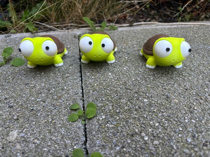 Goofy eyed turtles