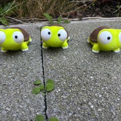 Goofy eyed turtles