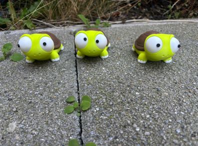 Goofy eyed turtles