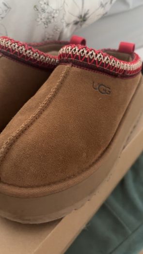 tasman uggs