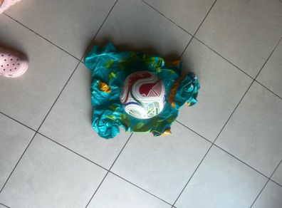 pool float