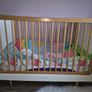 Snuz Cot Image 3