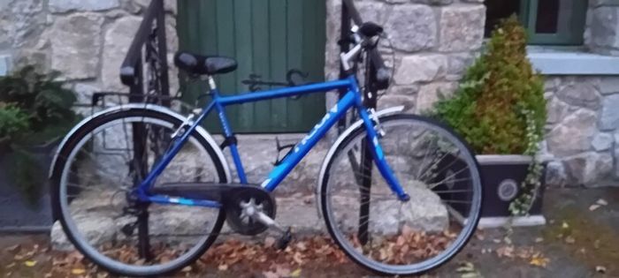 Gents Bicycle Bargin