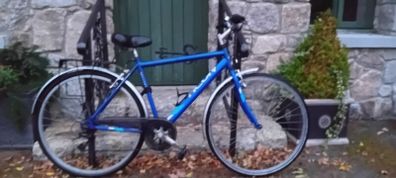 Gents Bicycle Bargin