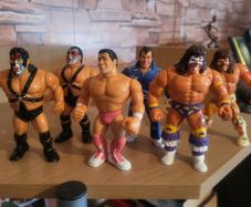 WWF Hasbros
