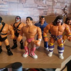 WWF Hasbros