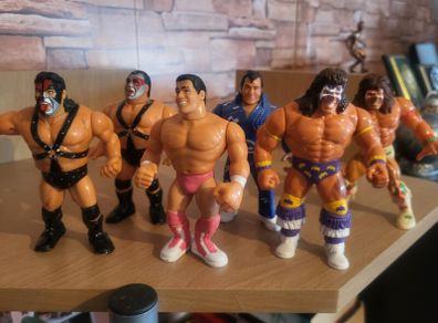 WWF Hasbros