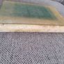 British Birds Nests 1898 hardback in very good condition by R Kearton the first photograph book published of Birds Nests and Eggs FREE STANDARD POSTAGE INCLUDED Image 3