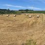 Round bales of Hay Image 5