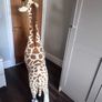 Melissa and Doug giant giraffe Image 2