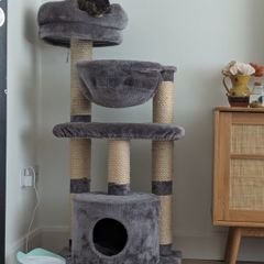 Cat Tree